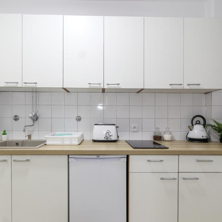 Skroman, čist i udoban apartman u Ivana Ribara za dvoje - Apartment with Balcony - 3