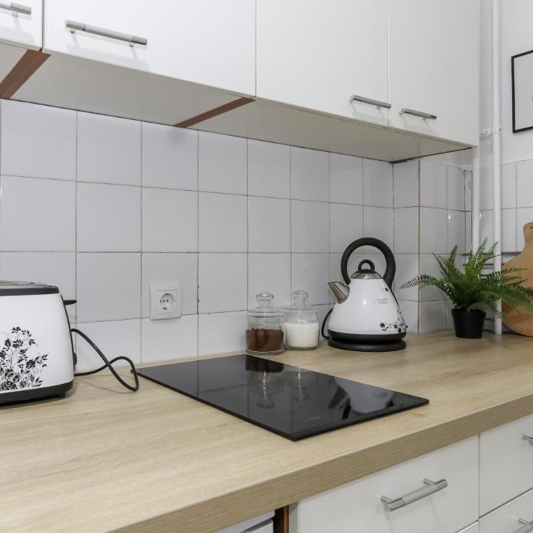 Skroman, čist i udoban apartman u Ivana Ribara za dvoje - Apartment with Balcony - 11