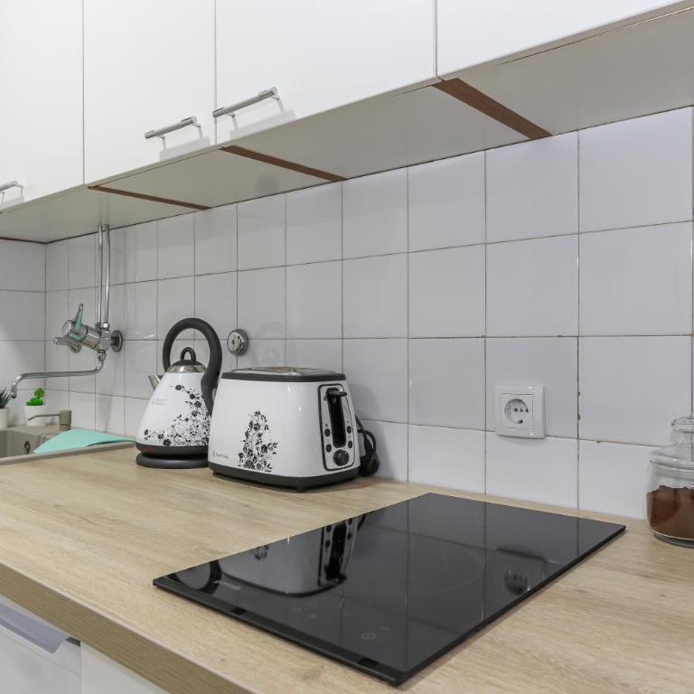 Skroman, čist i udoban apartman u Ivana Ribara za dvoje - Apartment with Balcony - 17