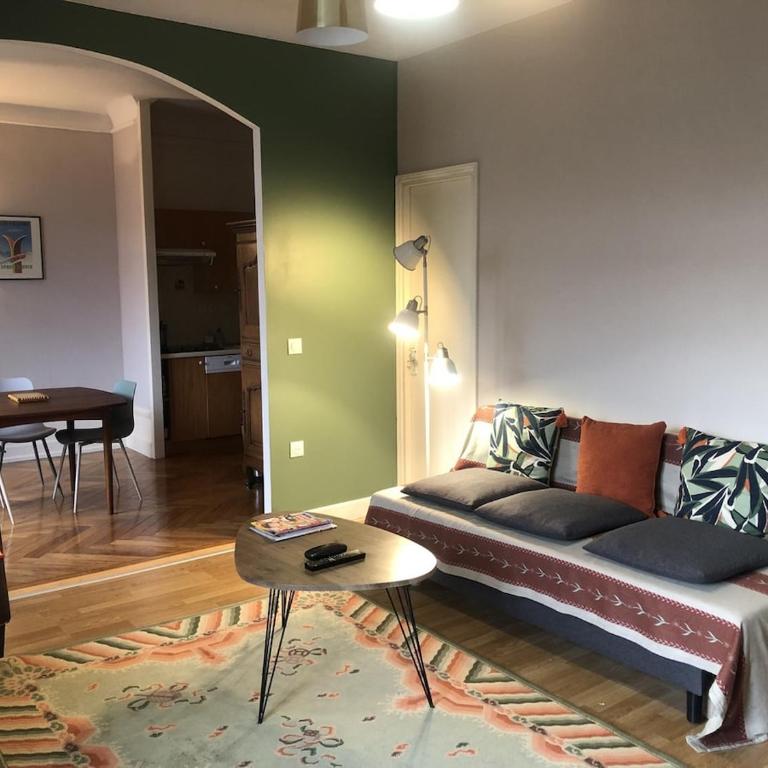 Appartement T2 60 m2 l'Albion vue lac 1 chambre parking et piscine, centre-ville - Apartment mit 1 Schlafzimmer - 1