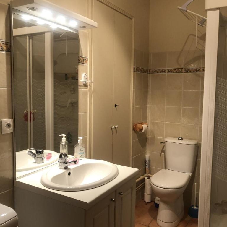 Appartement T2 60 m2 l'Albion vue lac 1 chambre parking et piscine, centre-ville - Apartment mit 1 Schlafzimmer - 13