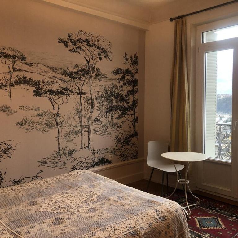 Appartement T2 60 m2 l'Albion vue lac 1 chambre parking et piscine, centre-ville - Apartment mit 1 Schlafzimmer - 9