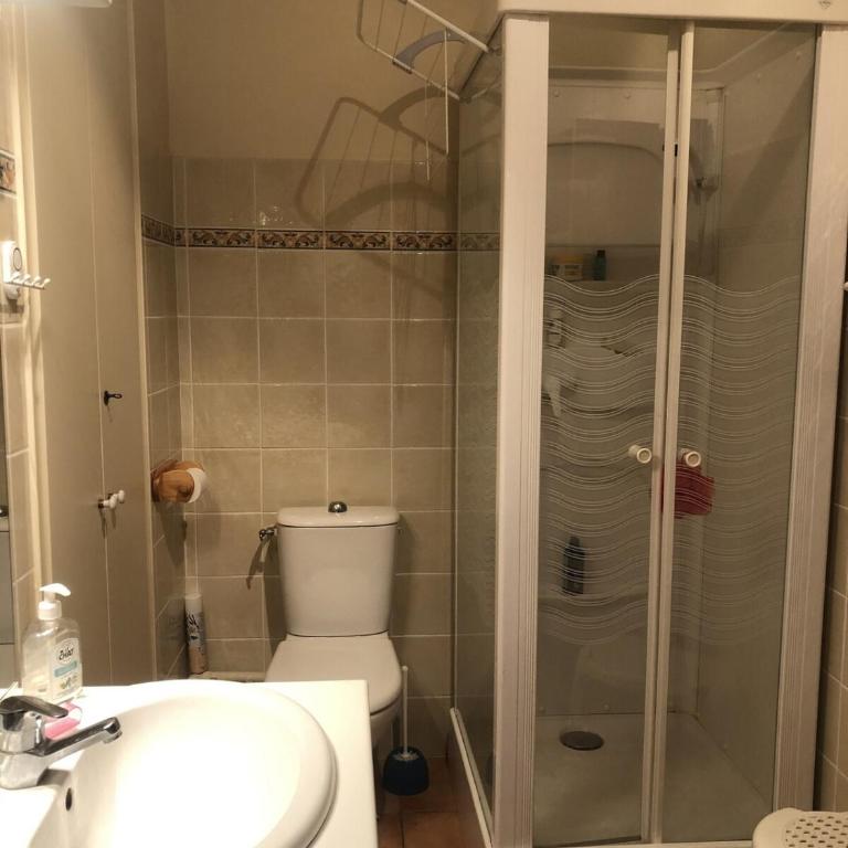 Appartement T2 60 m2 l'Albion vue lac 1 chambre parking et piscine, centre-ville - Apartment mit 1 Schlafzimmer - 12