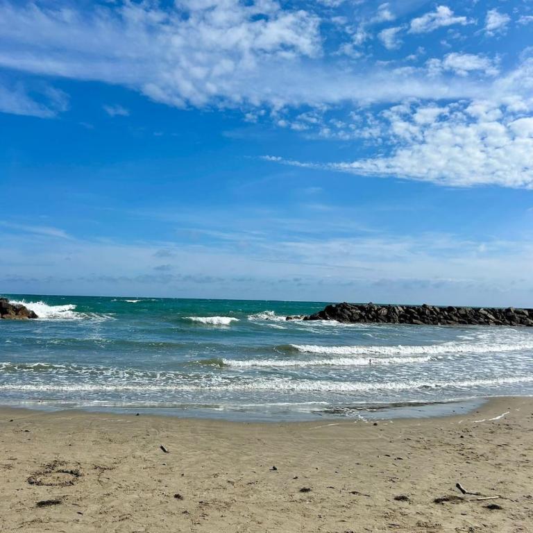 SOLEA Frontignan Plage - Appartement 1 Chambre - 14