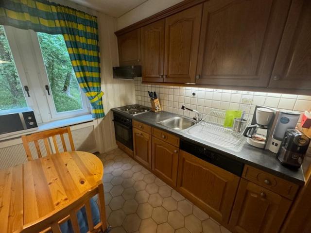 Les Frênes - Apartment mit 3 Schlafzimmern und Bergblick - 8