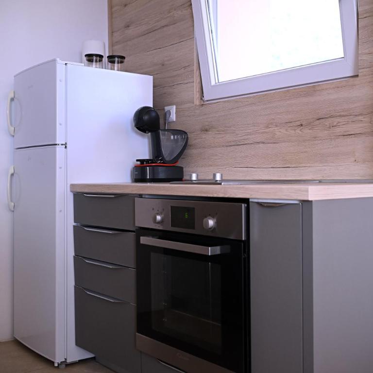 Apartments Danica - Apartment with Sea View - 11