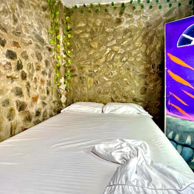 Tamarindo Beach hostel - Estudio Deluxe - 1