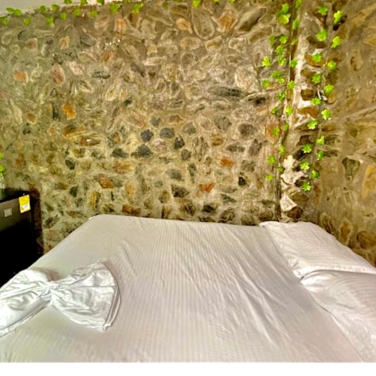 Tamarindo Beach hostel - Estudio Deluxe - 2