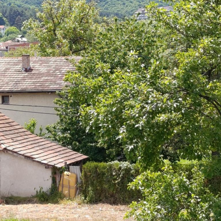 Garfield Family Studio 1 - Apartman sa 1 Spavaćom Sobom - 7