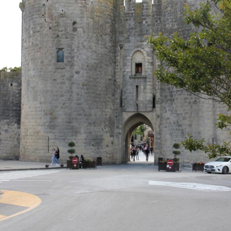 La Batelière, entre mer, Camargue et Canaux - Maison 4 Chambres - 46