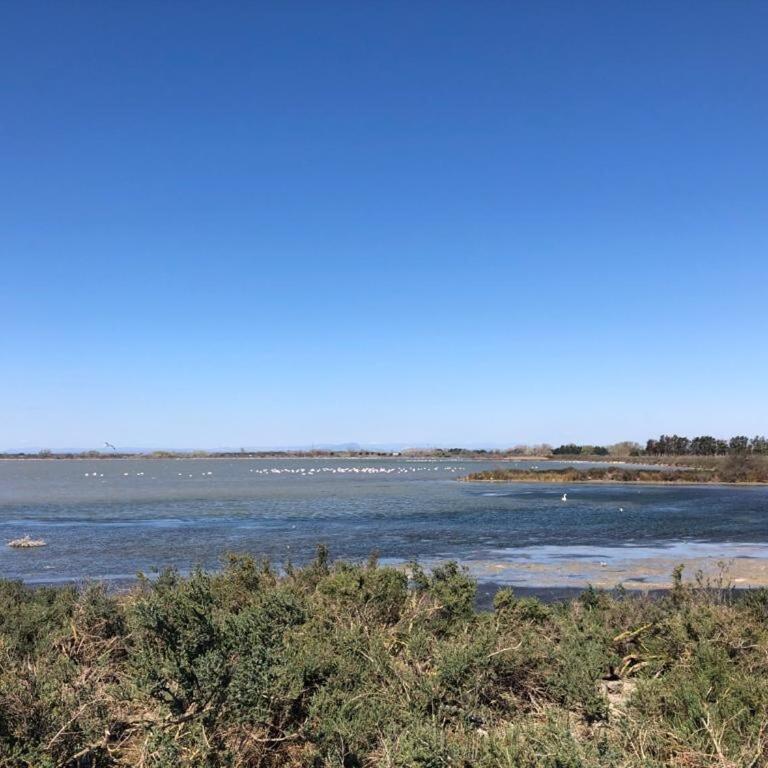 La Batelière, entre mer, Camargue et Canaux - Maison 4 Chambres - 48