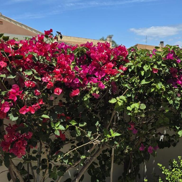 Riumar "Cologne", 300m to beach, private pool, On-Site-Service, dog beach - Casa de 2 dormitorios - 12