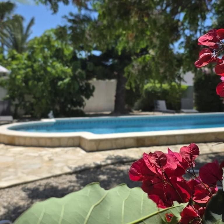 Riumar "Cologne", 300m to beach, private pool, On-Site-Service, dog beach - Casa de 2 dormitorios - 11