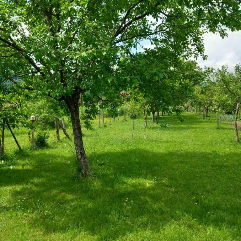 Kuca za odmor Amber - Three-Bedroom Townhouse - 41