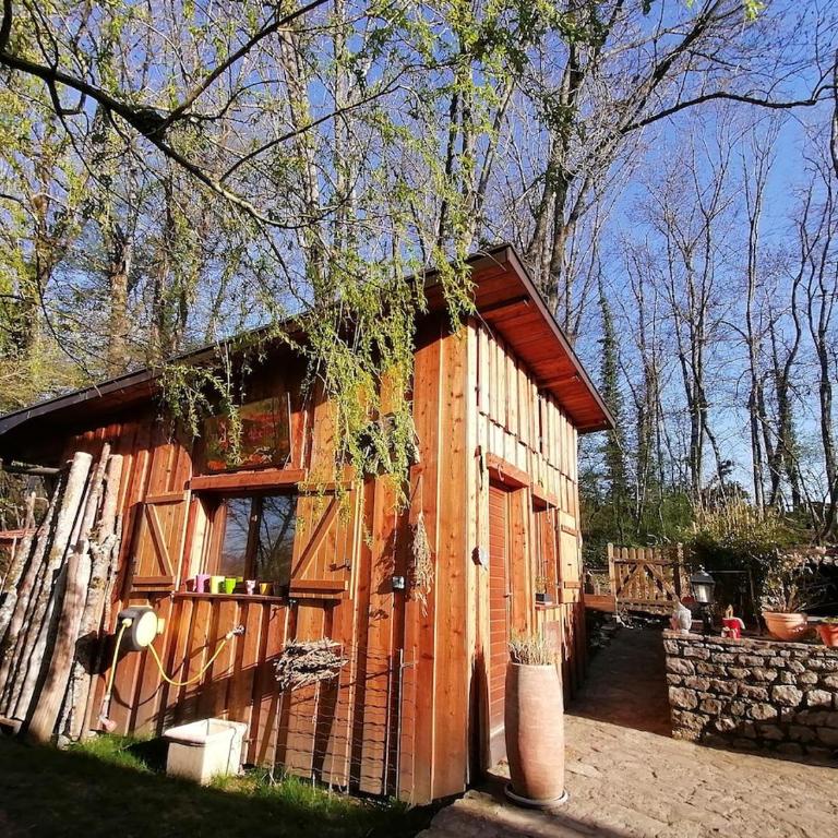 Cabane en forêt - Appartement 1 Chambre - 7