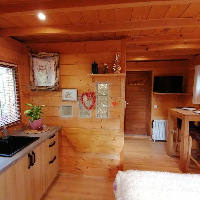 Cabane en forêt - Appartement 1 Chambre - 14