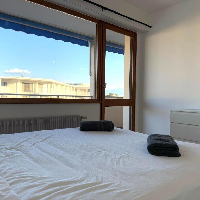 M002 Appartement T2 spacieux et lumineux avec balcon à deux pas du centre ville - Appartement 1 Chambre - 10