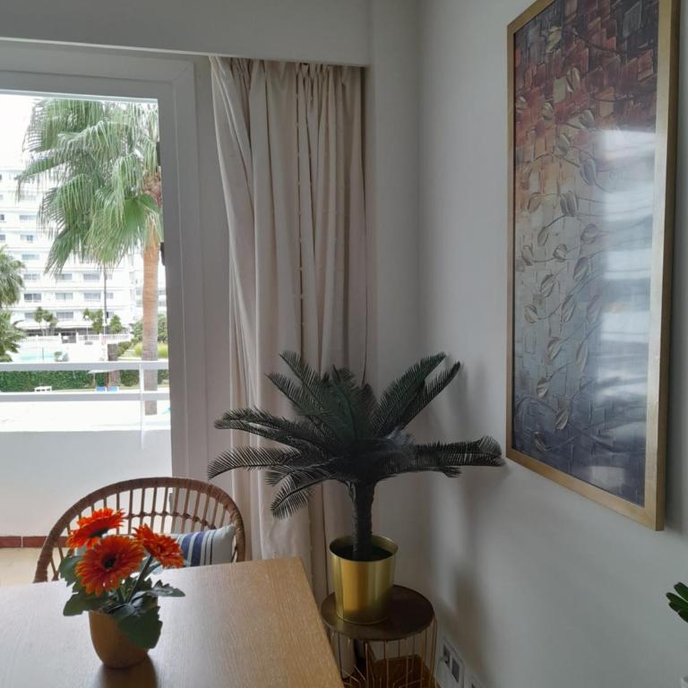 Relax in the sun - Estudio con vistas a la piscina - 15