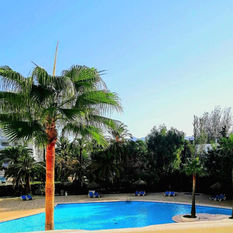 Relax in the sun - Estudio con vistas a la piscina - 4
