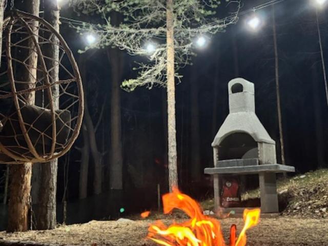 Pine Retreat - Kuća sa 1 Spavaćom Sobom - 13