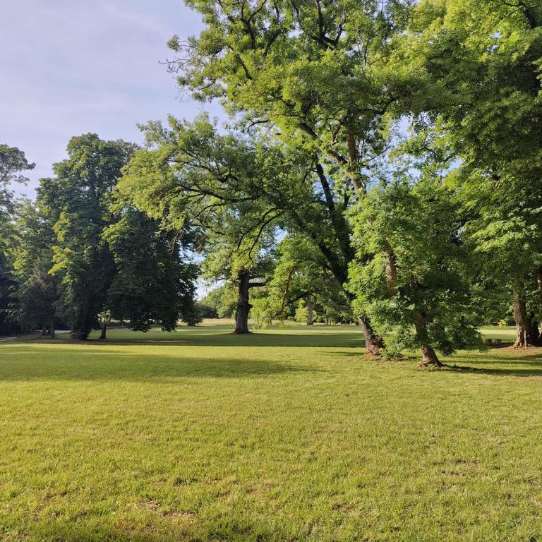 Les charpentes des communs du Château du Sollier - Charme Calme Confort Climatisation à 5mn de la sortie 7 Bourges A71 parking gratuit privé, Panette collection - Chambre Double - Vue sur Jardin - 5