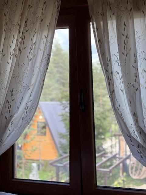 Pine Retreat - Kuća sa 1 Spavaćom Sobom - 27
