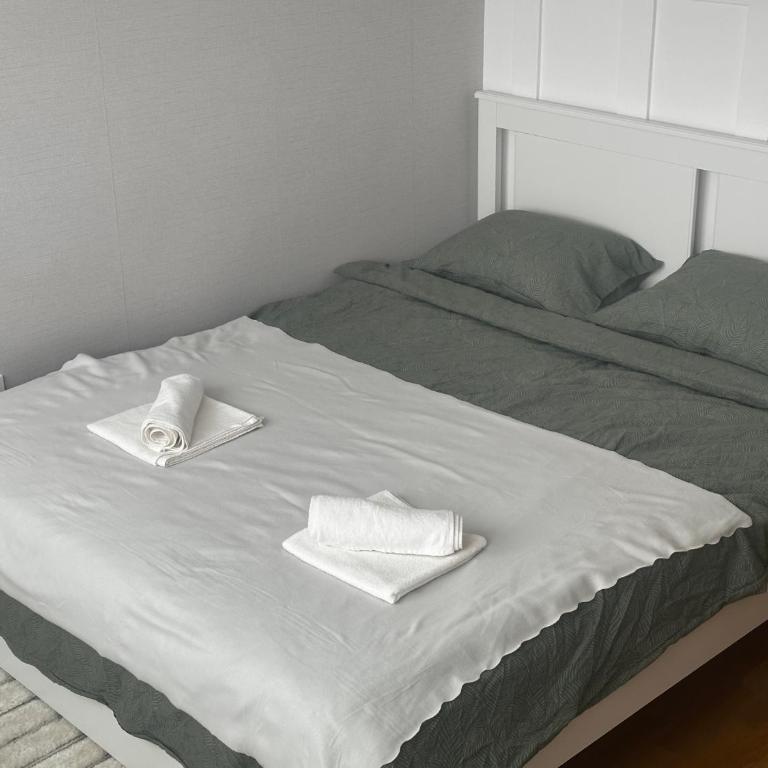 Silent hill apartment - Two-Bedroom Apartment - 18