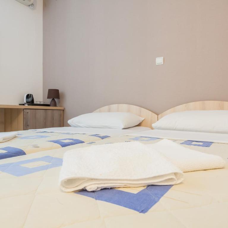 Vila Mitrovic - Dvokrevetna Soba sa Zasebnim Krevetima i Balkonom - 8