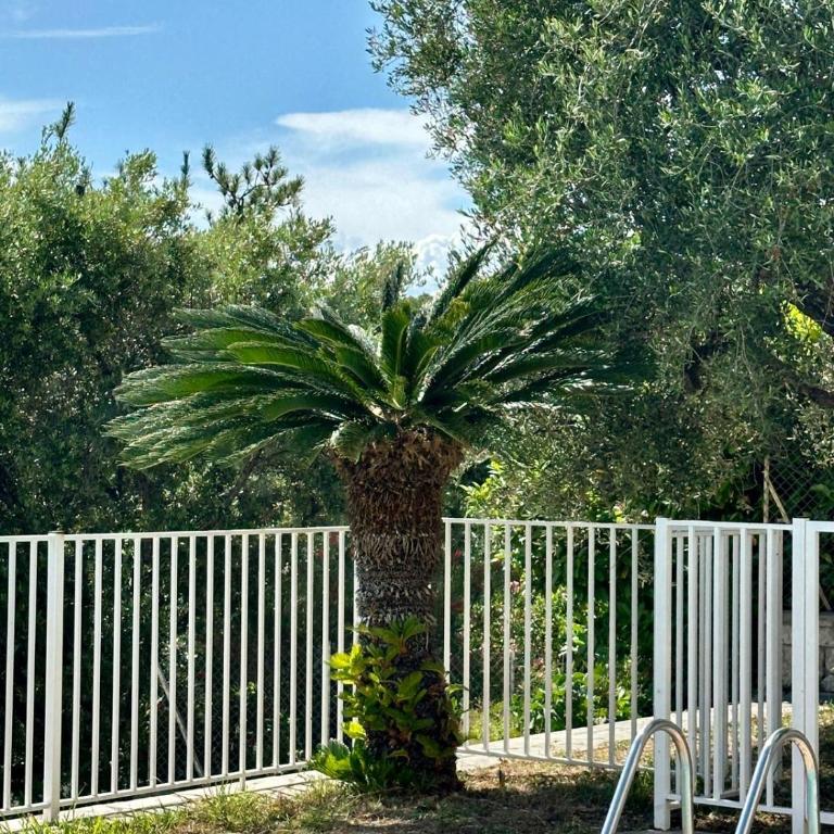 Villa Passiflore with garden and private swimming pool - Appartement 2 Chambres - 4