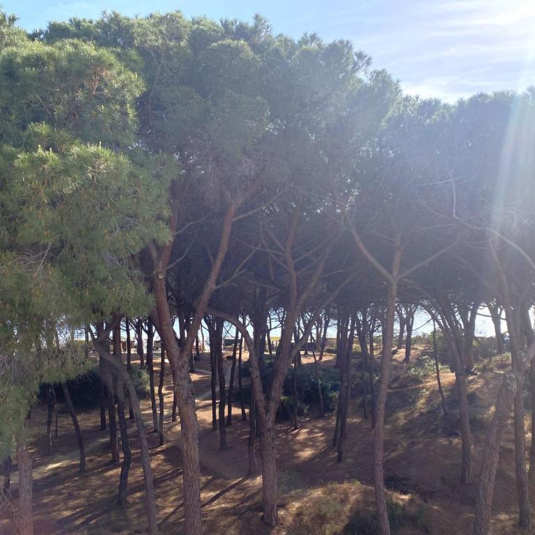 Casa Mare Delfino - Appartamento con 1 Camera da Letto - 11