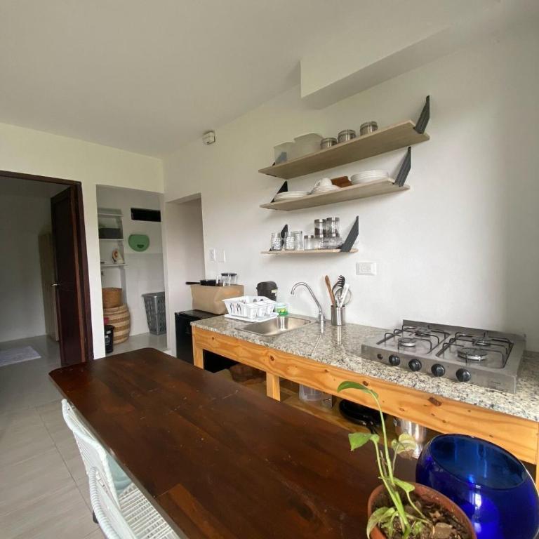 Northwest Hostings 4 - One-Bedroom Apartment - 8