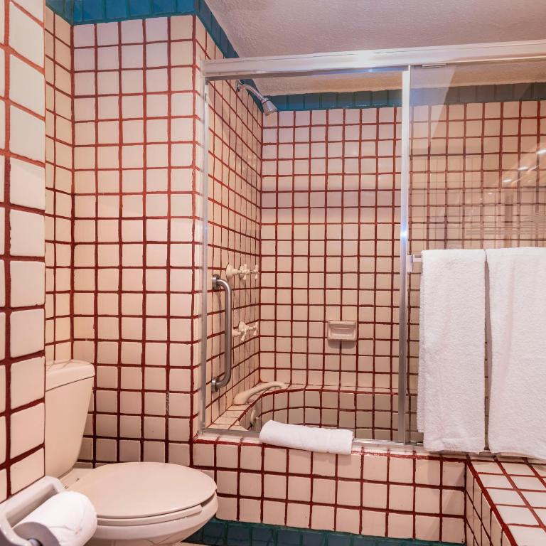 Solmar Resort Optional All Inclusive - Estudio con cama extragrande - 3