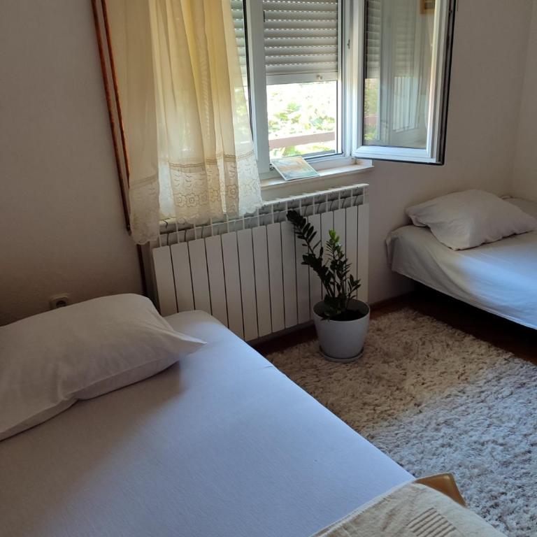 Apartman Petar - Apartman sa 2 Spavaće Sobe - 3