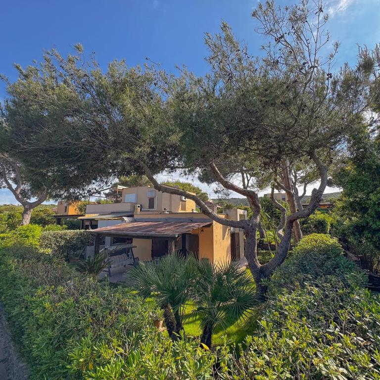 Villa Erica - near La Pelosa Beach by Host Hero - Villa - 12