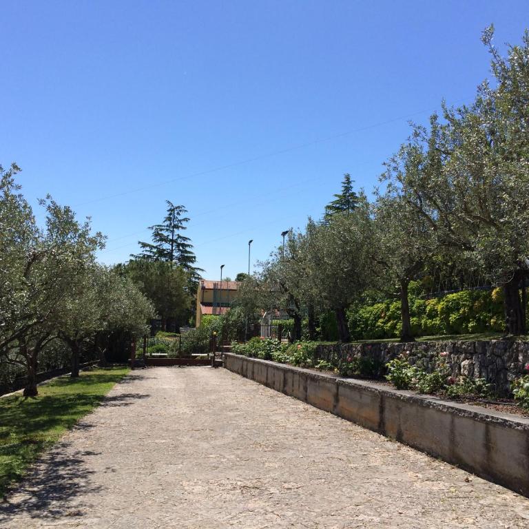 Valpolicella Hills - Appartamento - 56