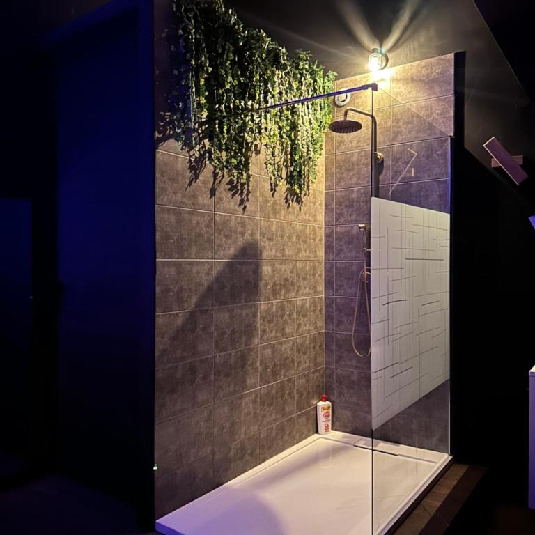 Love room Narbonnaise - Appartement 1 Chambre - 4
