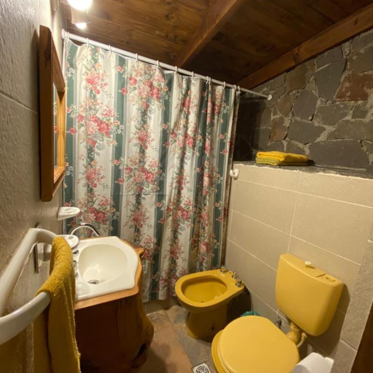 Los Tordos - Apartamento de 1 dormitorio - 2