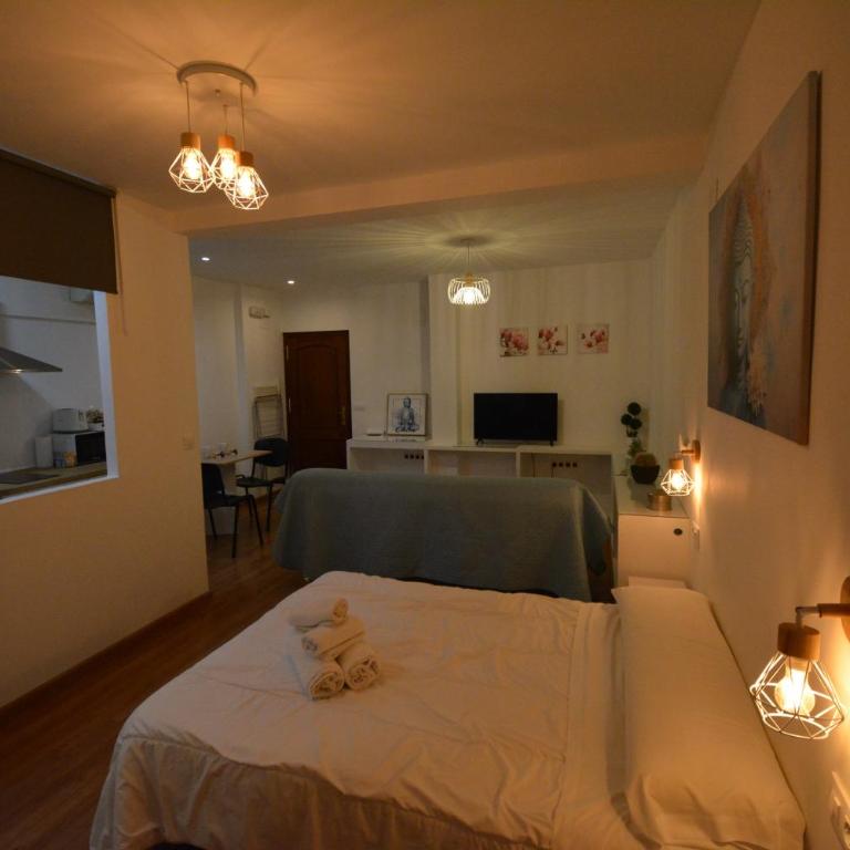 Apartamento Calle Concepción Pleno Centro - Apartamento Estudio - 4