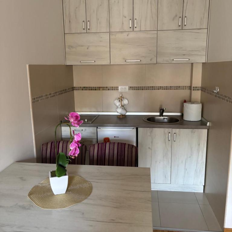 Apartman Anastasija - Apartman sa 1 Spavaćom Sobom - 7