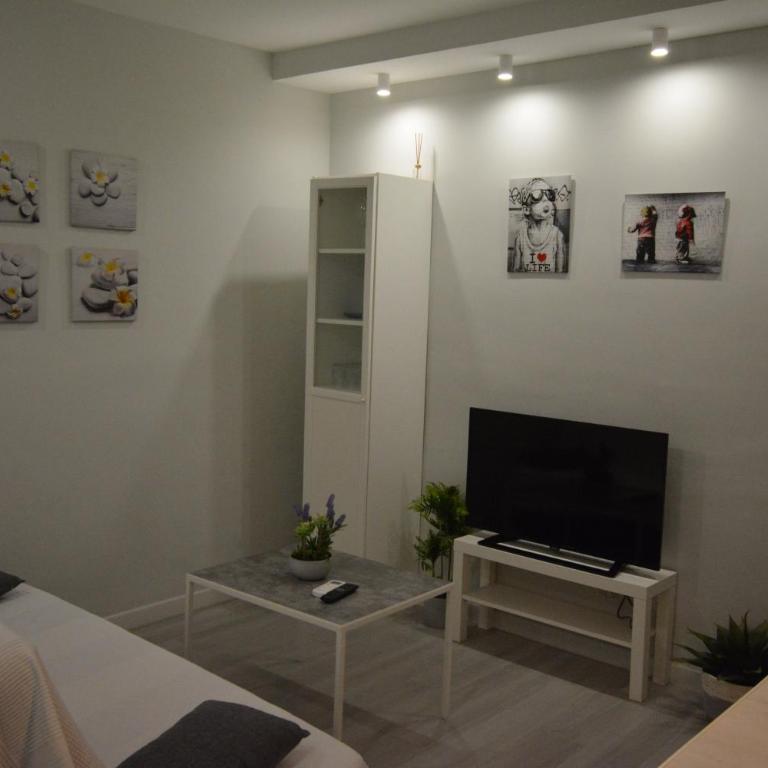Apartamento Calle Concepción Pleno Centro - Loft - 5