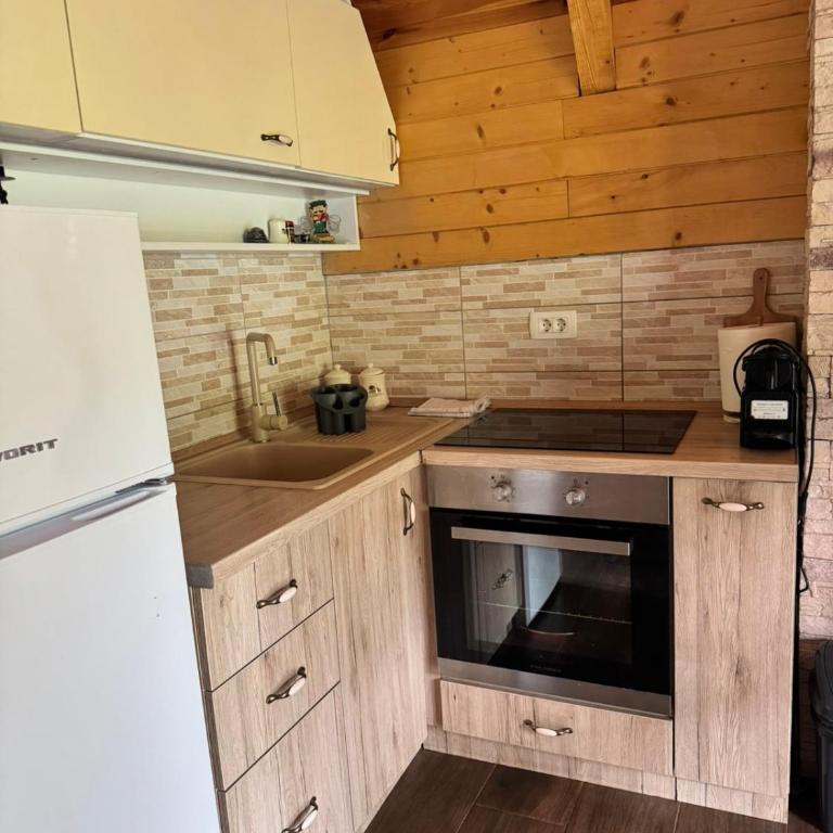 Cottage Tea/Vikendica Tea, Durmitor NP, Žabljak - Two-Bedroom House - 12