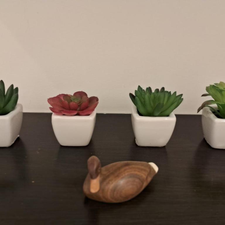 Recoleta, departamento de lujo a estrenar - Apartamento de 1 Dormitorio con balcón y vistas a la ciudad - 11