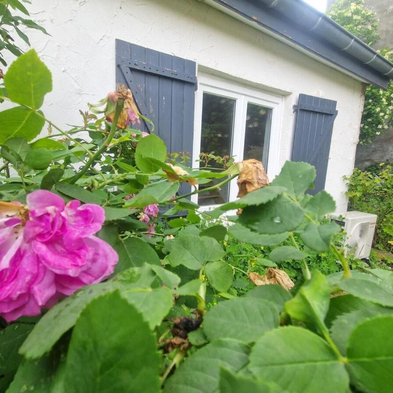 Le Guichard #Terrasse#Parking - Appartement 1 Chambre - 11