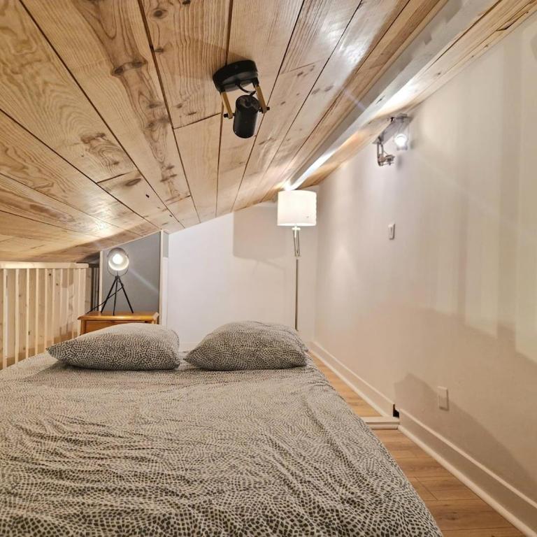 Le Guichard #Terrasse#Parking - Appartement 1 Chambre - 12