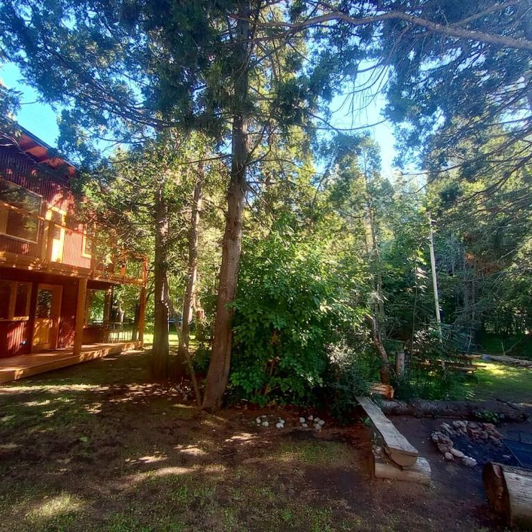 Cabaña Nido del Bosque - Apartamento de 2 dormitorios - 13