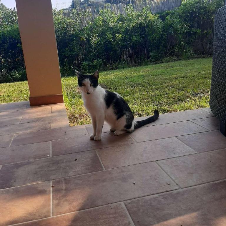 Villa Tiziana - Vacation Home - 14