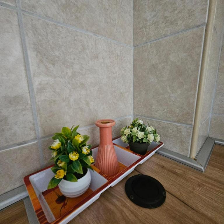 Vila Lučica apartman u prizemlju - One-Bedroom Apartment - 9