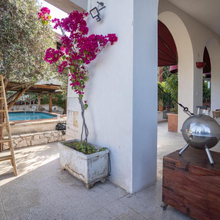 Therme Appiae - Villa con 1 Camera da Letto - 18