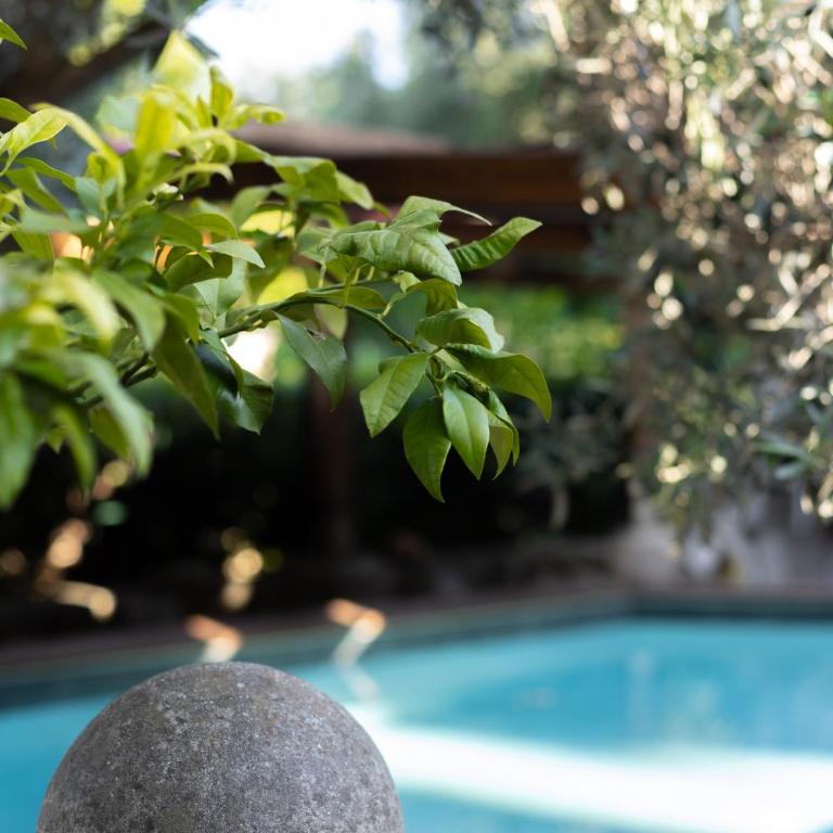 Therme Appiae - Villa con 1 Camera da Letto - 27