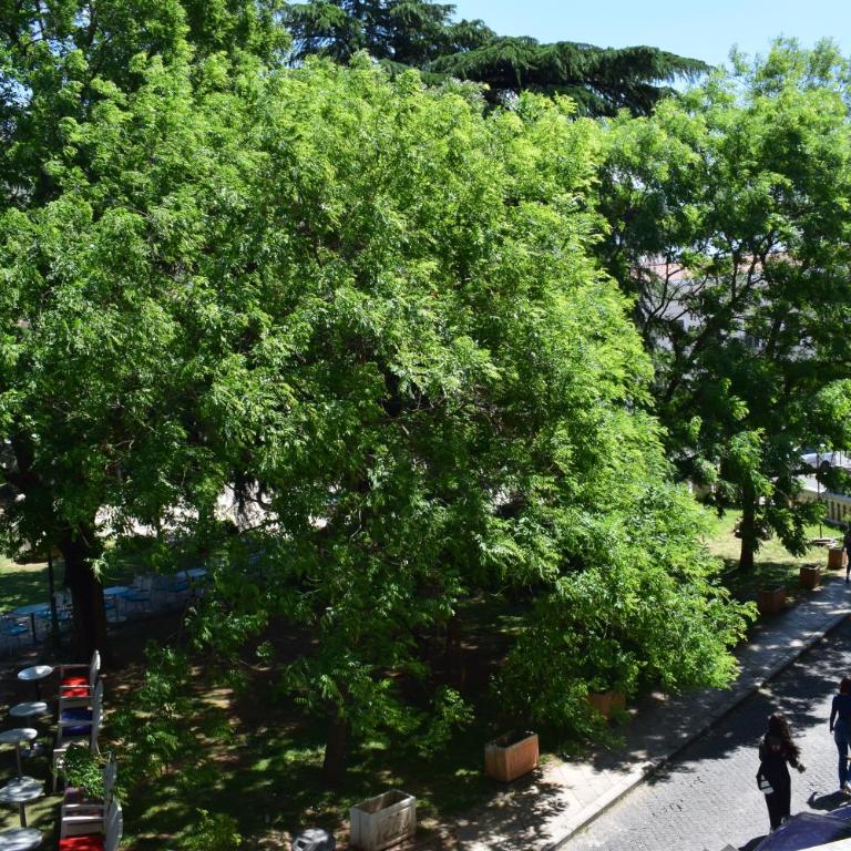 Apartment Bella Luna - One-Bedroom Apartment - 9